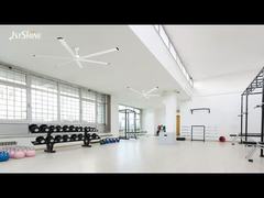 2 w 1 wielkości przemysłowy wentylator sufitowy z światłem do użytku komercyjnego