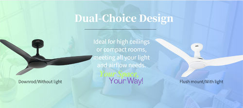 Najnowsze wiadomości o Jeden wentylator, wiele możliwości: Dostosowalne opcje z 1stShine